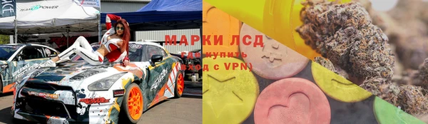 спайс Баксан