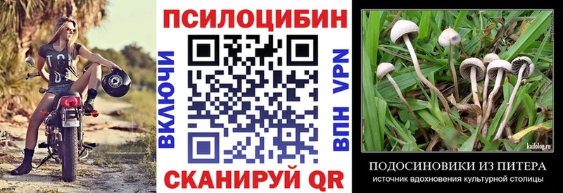 даркнет сайт  маркетплейс телеграм  Галлюциногенные грибы Psilocybe  Кущёвская  гидра ссылка 
